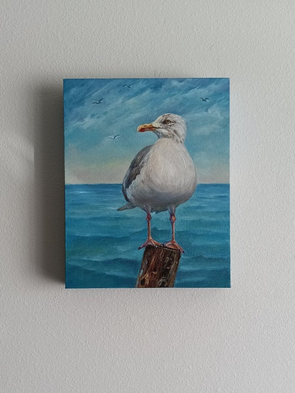 An Original Painting . "Seagull ", Oil on Canvas, Size 11" x 14" .